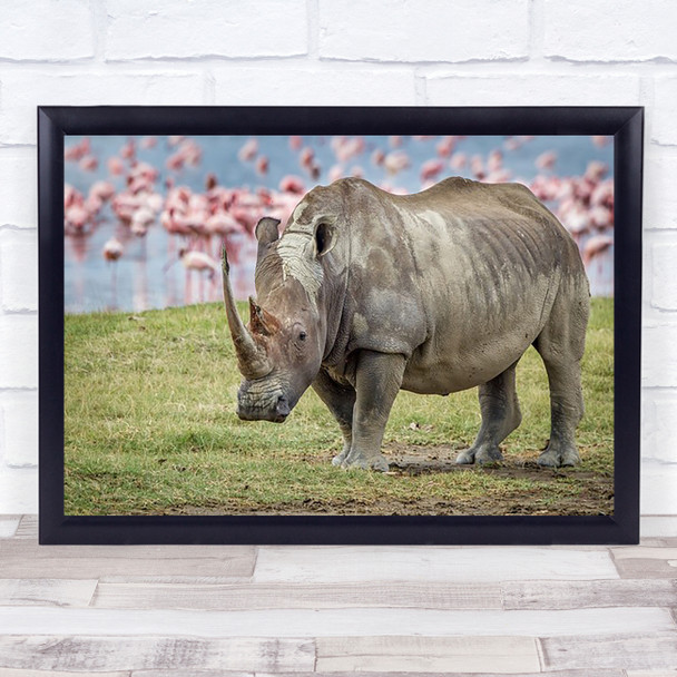 Rhino Animal Wildlife Horns Nature Flamingo Safari Art Print