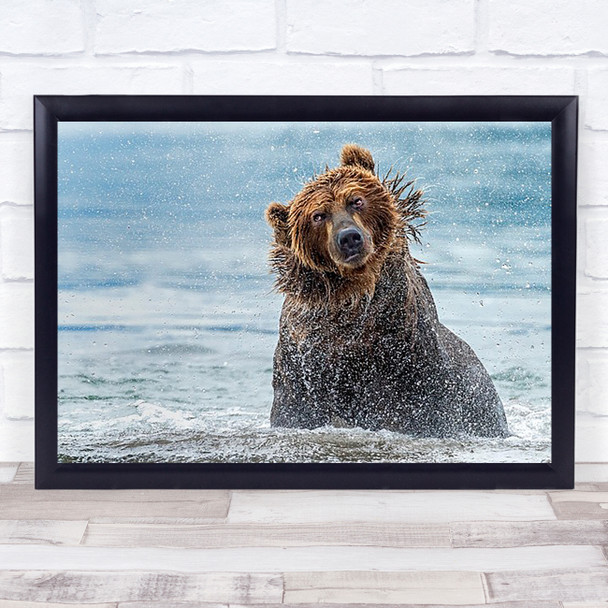 Shaking Russia Brown Bear Wildlife Wild Nature Animals Animal Shake Art Print