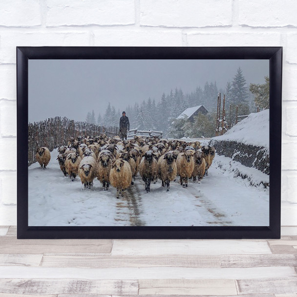 Sheep Animals Cattle Snow Winter Fence House Farm Wall Art Print