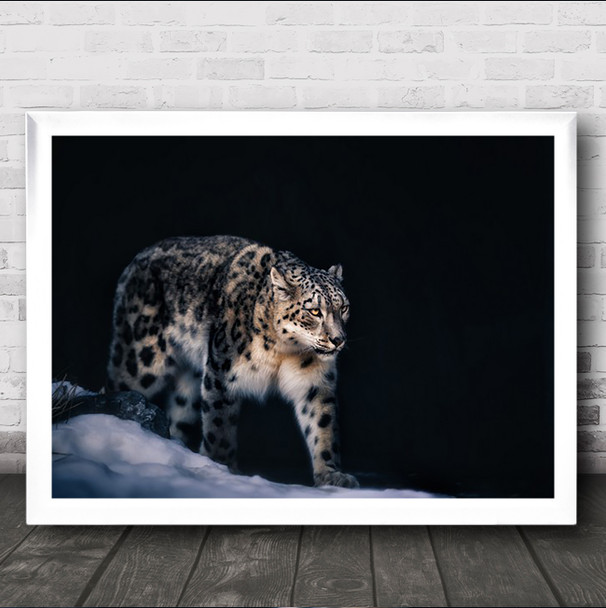 Snow Leopard Wildlife Animal Africa Feline Animals Wall Art Print