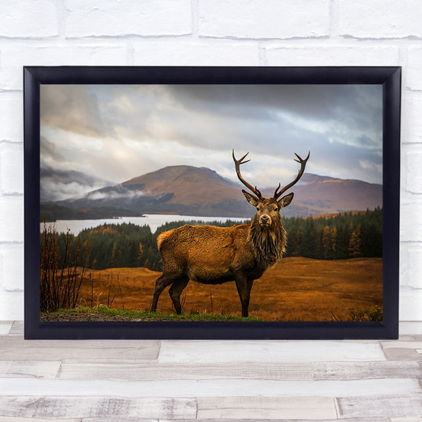 Stag Deer Antler Antlers Scotland Wildlife Lake River Mountain Art Print