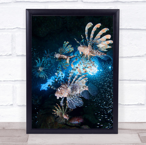 Star Hunt Lionfish Fish Underwater Dahab Red Sea Blue Deep Wildlife Art Print