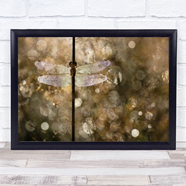 Sunlight Reflection Dragonfly Warmth Summer Insect Crystal Bokeh Wall Art Print