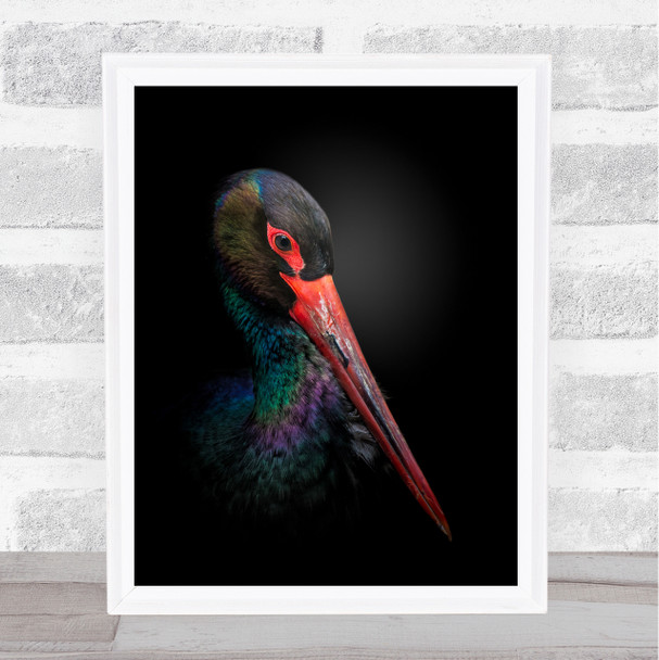 The Black Stork Animal Bird Colourful Feathers Elegant Dark Wall Art Print