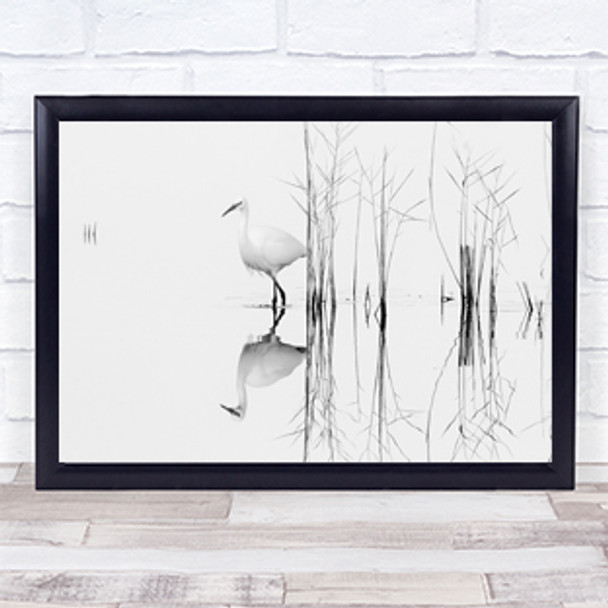 White Abstract Bird Birds Animal Wall Art Print