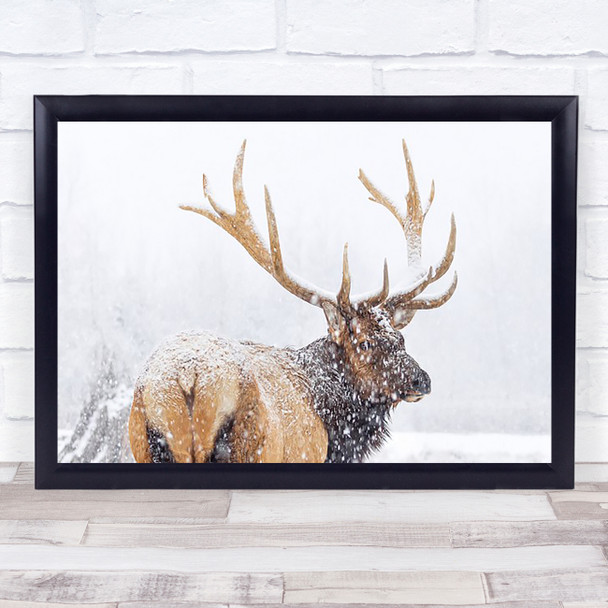 Winter Wildlife Wild Deer Elk Antlers Antler Snow Snowing Snowfall Art Print