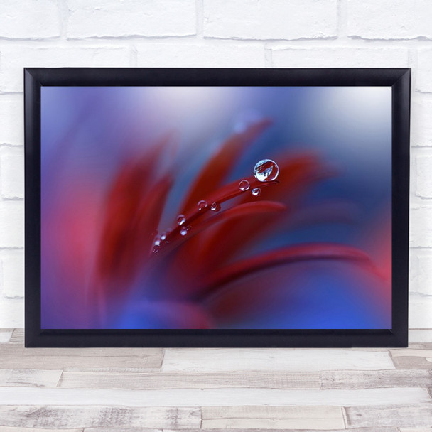 Strange Feelings Closeup Drop Water Flower Reflection Red Soft Bokeh Art Print