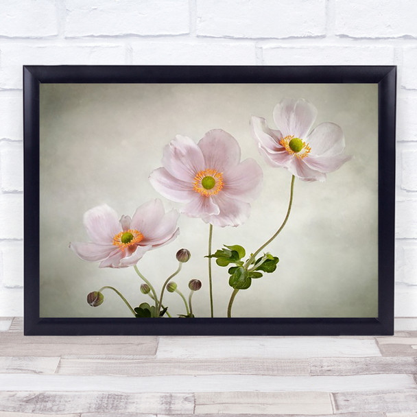 Anemones Flowers Flower Anemone Trio Texture Summer Wall Art Print