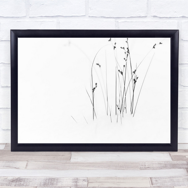 Black On White Winter Field Snow Plant Graphic Grass Wall Art Print