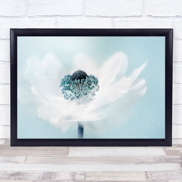 Candy floss Teal Turquoise Toned Flower Soft Flowers Wall Art Print
