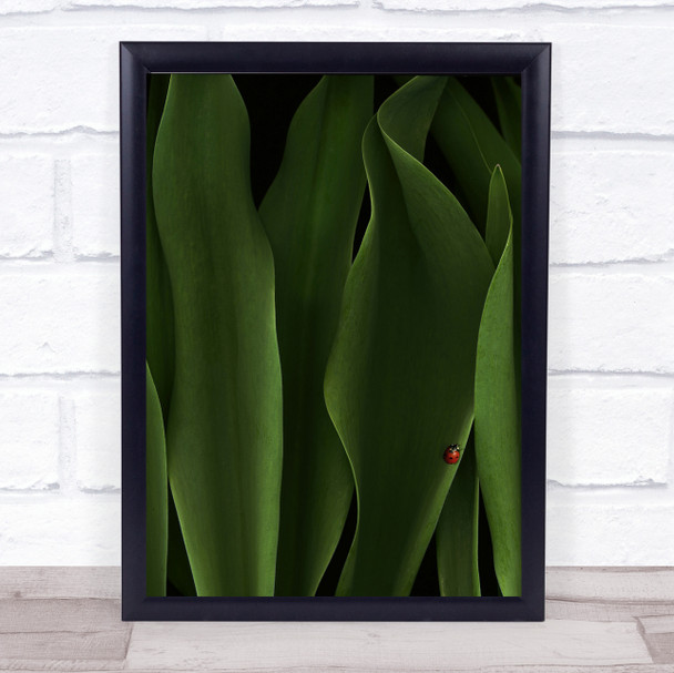 Coccinelle Spring Leaves Green Ladybug Small Red Insect Dot Wall Art Print