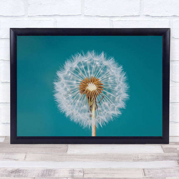 Dandelion Abstract Dandelions Flower Graphic Turquoise Teal Wall Art Print