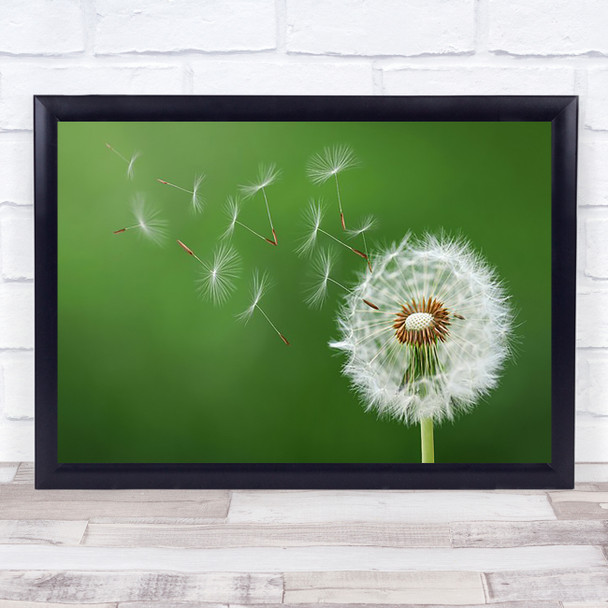 Dandelion Blowing Abstract Black Beauty Biology Blossom Blow Wall Art Print