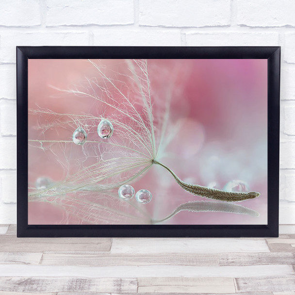 Dandelion Seed Drops Reflection Flowers Water Rose Pink Pastel Art Print