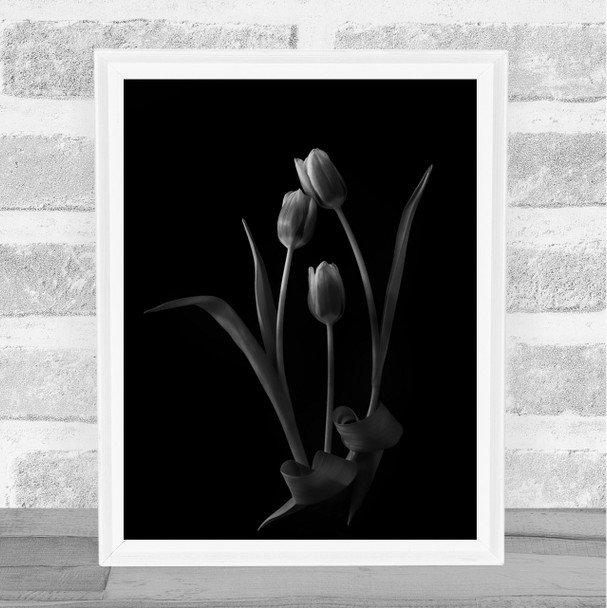 Family love Tulip Flower Flowers Tulips Botanical Wall Art Print