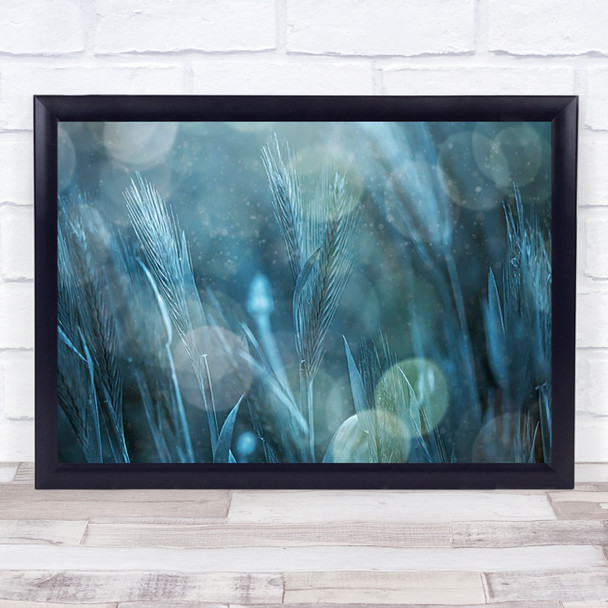 Fantastic Nature Grass Bokeh Blue Fantasy Wheat Crops Wall Art Print