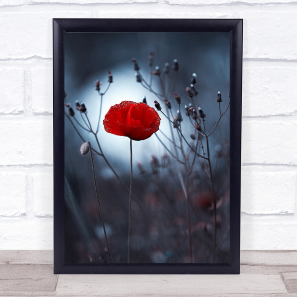 Flower Not By Kenzo Me Poppy Poppies Red Bokeh Garden Meadow Love Wall Art Print