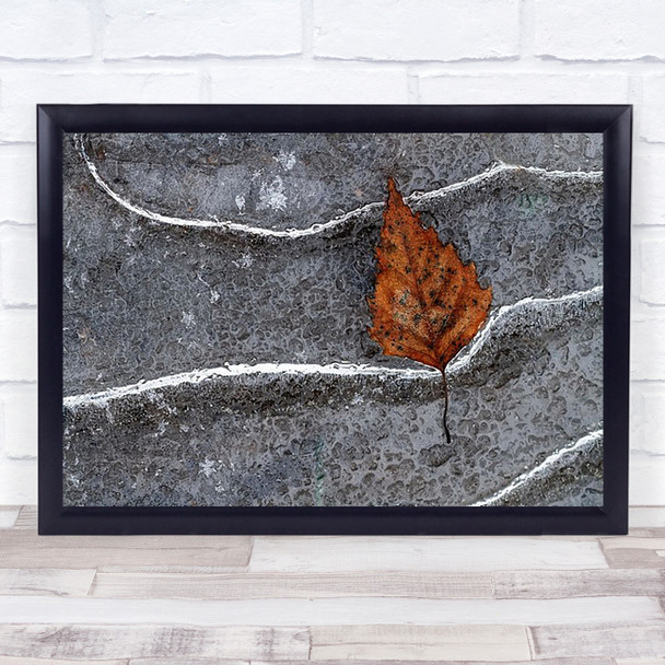 Frozen Leaf Ice Winter Snow Cold Wall Art Print