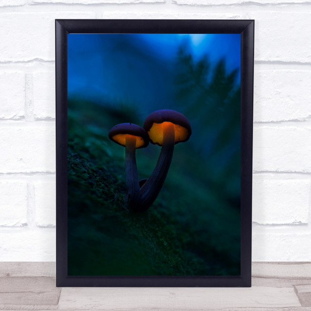 Glowing Mushrooms Magic Witchcraft Mushroom Bokeh Night Dark Wall Art Print