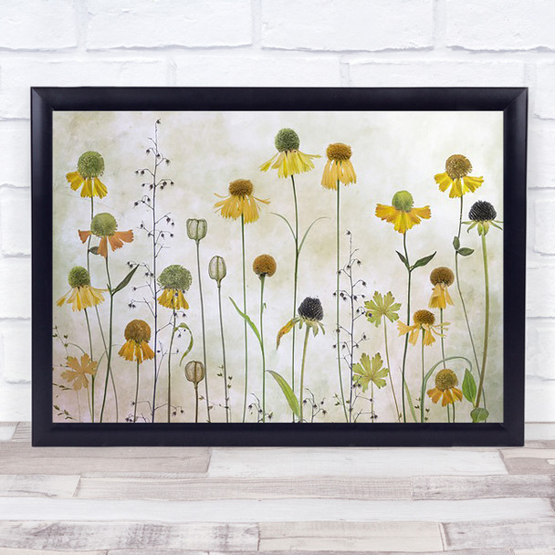 Helenium Summer Flowers l Botanicas Yellow Graphic Flower Wall Art Print