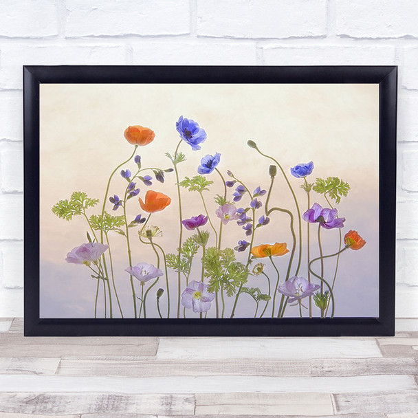 Poppy Anemone Flowers Colour Colourful Soft Painterly Graphic Art Print