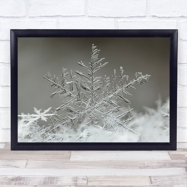 Snowflake Ice Frost Frozen Cold Star Geometry Shapes Wall Art Print