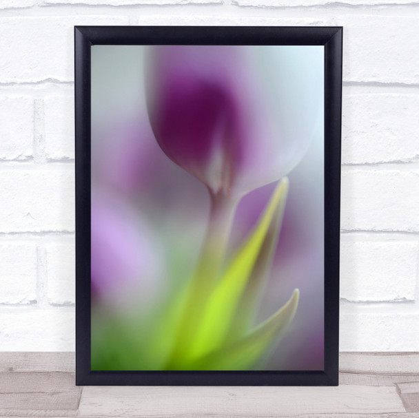 Soft Secrets Tulip Bokeh Blur Blurry Pink Double Exposure Wall Art Print