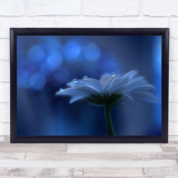 Space Dreams Drop Water Flower Blue Droplet Drops Droplets Wall Art Print