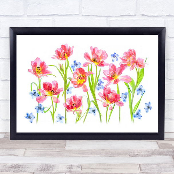 Spring Delight Tulips Flower Graphic Colour Colours Colourful Wall Art Print