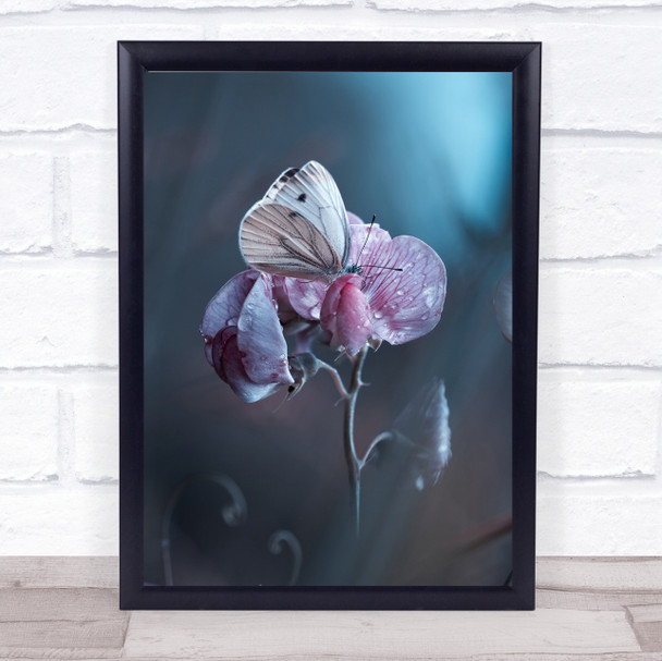 Tainted Love Butterfly Pink Flower Insect Garden Dew Bokeh Wings Wall Art Print
