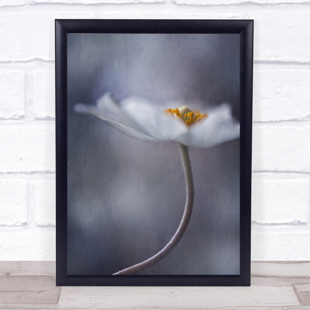 The Beauty Within White Flower Anemone L Textures Painterly Soft Wall Art Print