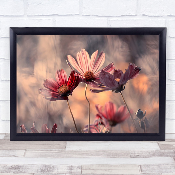 The Three Sisters Pink L Flower Flowers Bokeh Soft Romance Wall Art Print