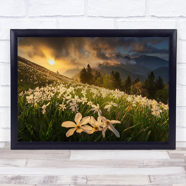 White Carpet Spring Morning Sunrise Light Wildflowers Wall Art Print