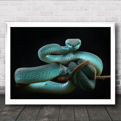 viper snake realistic drawing