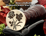 ROSES ROSES