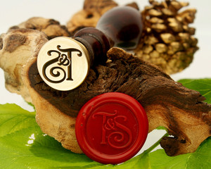 "T&S" Monogram Sale Wax Seal "T&S" Monogram Sale Wax Seal