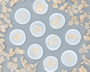 10x Rose Quartz Petals in Semi Clear Wax Self Adhesive Wax Seal 10x Rose Quartz Petals in Semi Clear Wax Self Adhesive Wax Seal