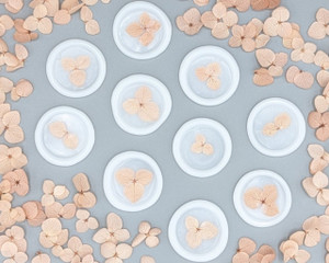 10x Blush Petals in Semi Clear Wax Self Adhesive Wax Seal