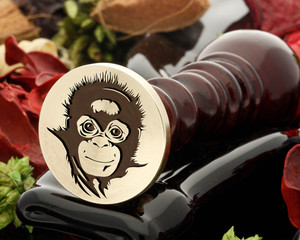 Chimp D3 Chimp D3