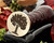 Tree 8 wax seal