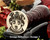 Lansdown Family Crest Wax Seal D7