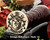 Goodwin Family Crest Wax Seal D15