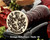 Mason Family Crest Wax Seal D18