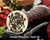 Perry Family Crest Wax Seal D23