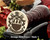 Richardson Family Crest Wax Seal D1