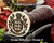 O'Brien Family Crest Wax Seal D8