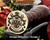 JOYCE Family Crest Wax Seal D1