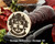 CLEGG Family Crest Wax Seal D15