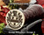 SCHOFIELD Family Crest Wax Seal D4