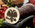 Crest Eagle 3 Wax Seal